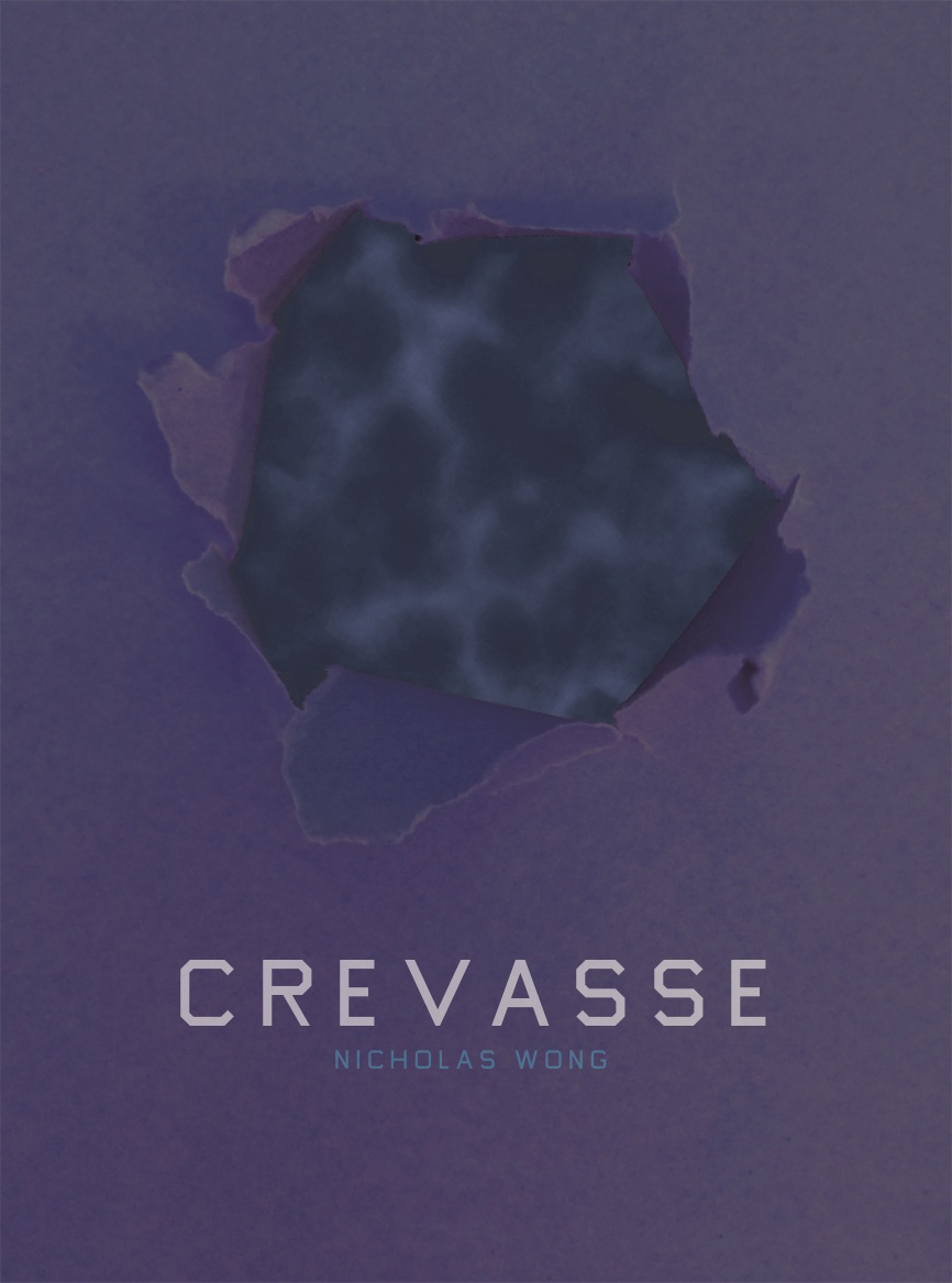 Book Review Crevasse By Nicholas Wong The Los Angeles Review The Los Angeles Review