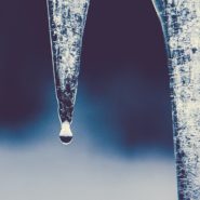 close up of two icicles, one dripping a single drop of water
