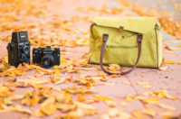 two cameras on a brick walkway covered in yellow leaves, next to a lime green bag