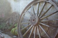 a large, slightly broken wooden wagon wheel leaning against a stone wall. a small plant sits on the floor beside it. two smaller wooden wheels lean against the wall just beyond the plant.