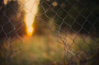a wire fence with a hole torn in it, beyond a field, some trees and a setting sun