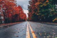 a wet road with two yellow stripes down the middle, the road is lined with maple trees, to the left of the road they are red and to the right they are just srtaing to turn red but remain mostly green