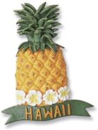 a pineapple magnet, encircled in a white lei with a small green banner at the bottom that reads "Hawaii" in yellow lettering